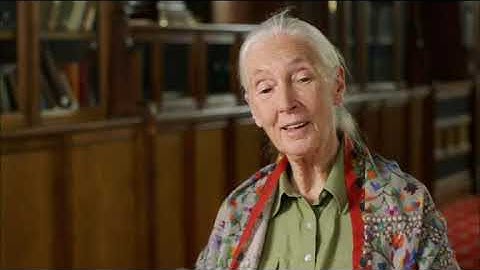 nat16_ar-goodall-2_mezz-16x9-mp4-1200k