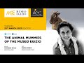 LECTURE | The Animal Mummies of the Museo Egizio by Salima Ikram