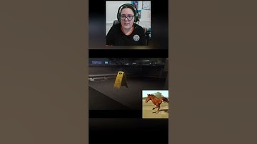 THAT FACE LOL! #alienisolation #shorts #alien #horrorgaming #HORROR