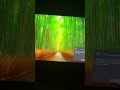 how to bypass windows 11 sign in screen new method