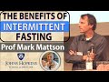 The Benefits of Intermittent Fasting | Prof Mark Mattson Interview Series Ep2