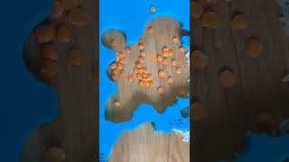 Imagimake Mapology Puzzle