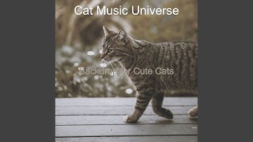 Pulsating Ambience for Training Cats