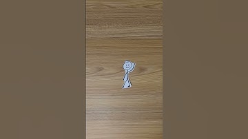 Funny ICD 10 Codes: Struck by a turtle