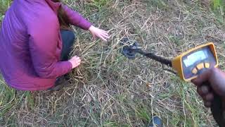 Ищем золотое кольцо в траве с помощью Garrett ACE 150 и Garrett pro-pointer AT