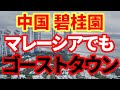 【中国不動産】碧桂園のマレーシア14兆円プロジェクトがゴーストタウン化！中国不動産問題がマレーシアにも影響