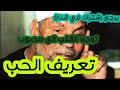 تعريف الحب الشيخ محمد الشعراوي
