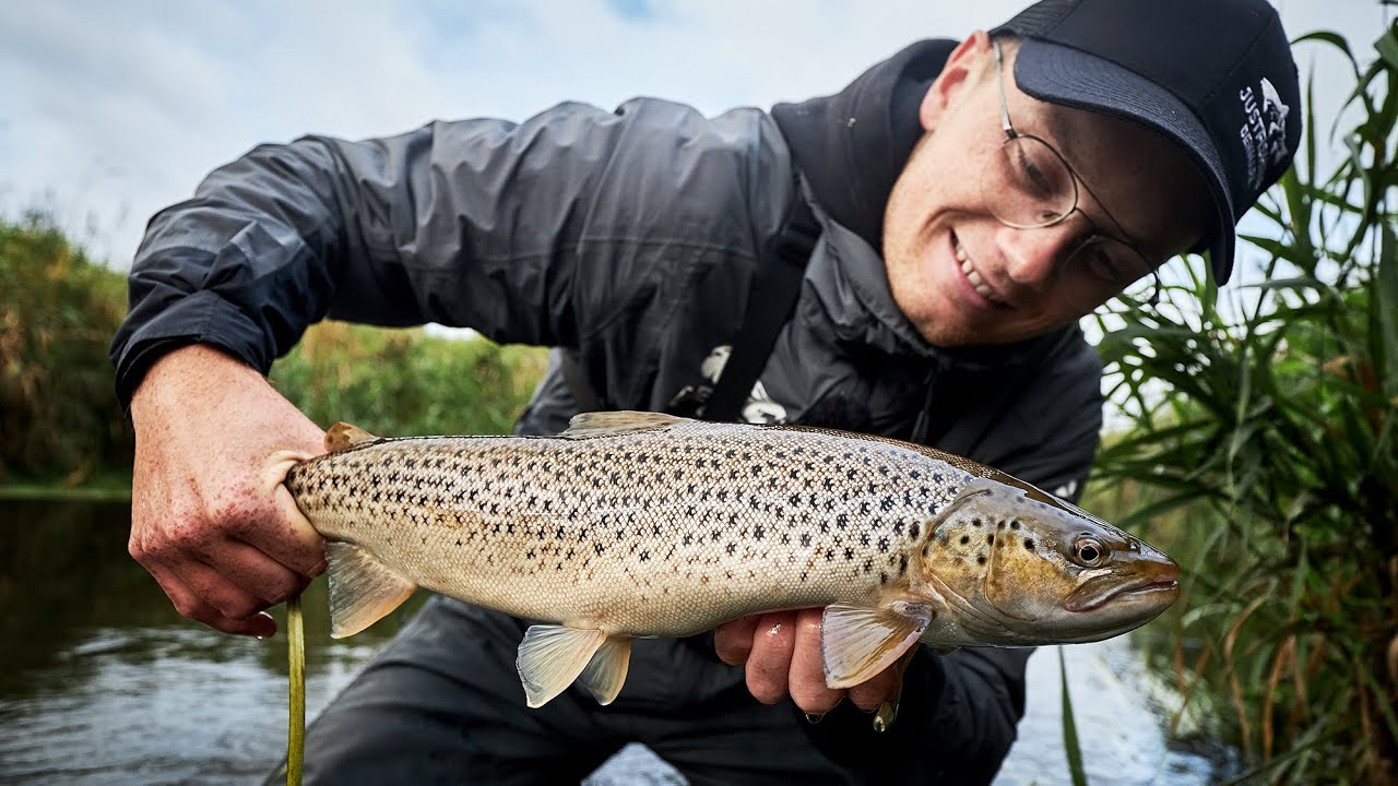 Autumn Fishing For Sea Run Brown Trout, In Tiny Creek - Late