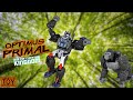 Transformers Showcase: WFC Kingdom OPTIMUS PRIMAL (Moky, not truk 😡)