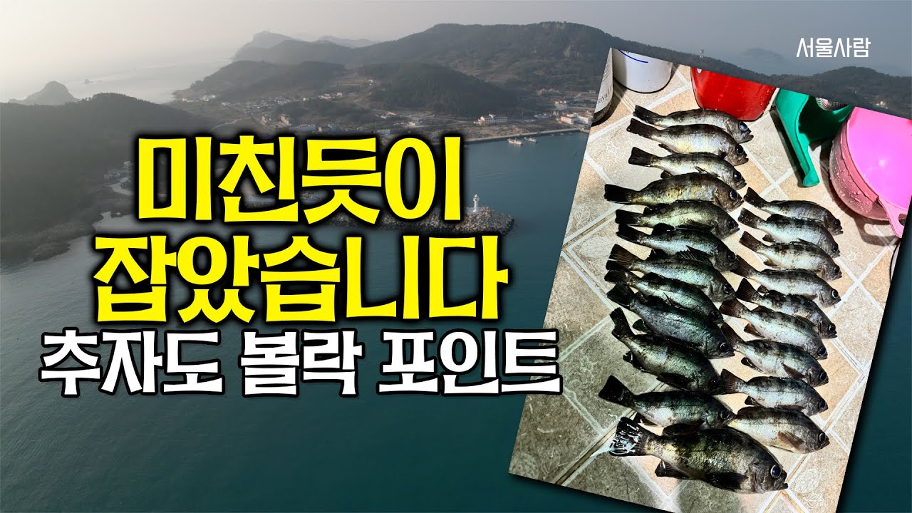 원없이 손맛 입맛 보고 행복한 시간 보냈어요 - 추자도 볼락 포인트 - 라이트 게임 루어낚시 -  신양항 묵리항