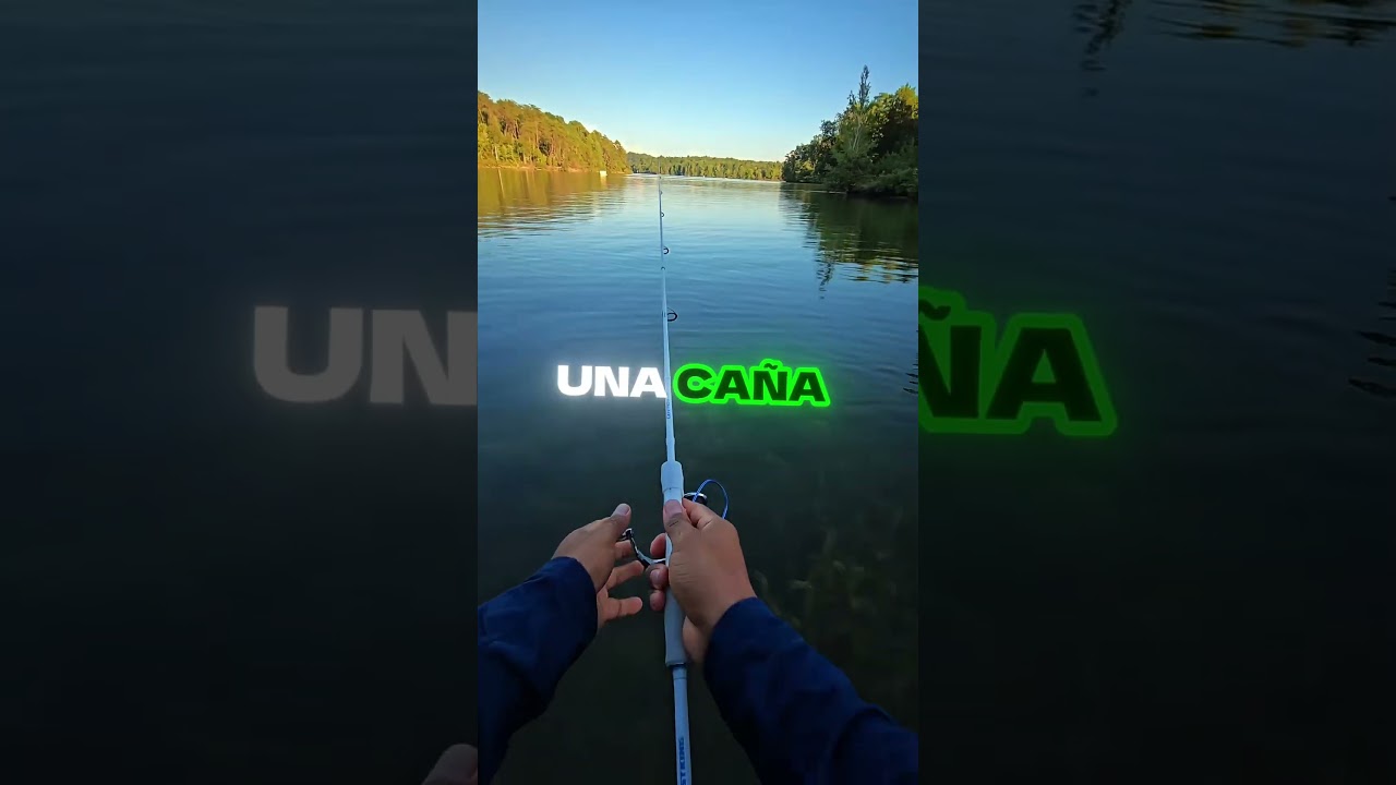 KastKing Centron Lite Spinning Reel (Best Fishing Rod) 