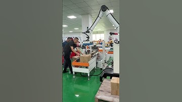 Handling palletising robot #carrying palletising robot #six-axis robot #automation  #robotic arm