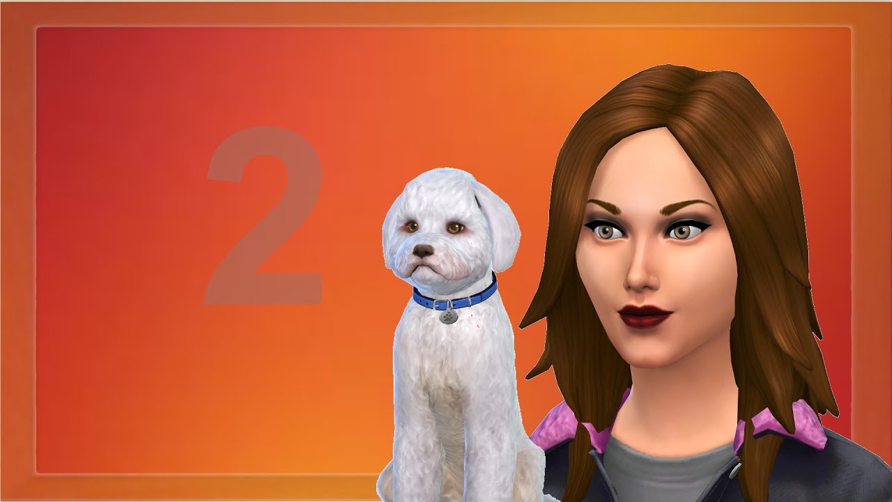 Un chien !!!! [SIMS 4] LUCIE YouTube