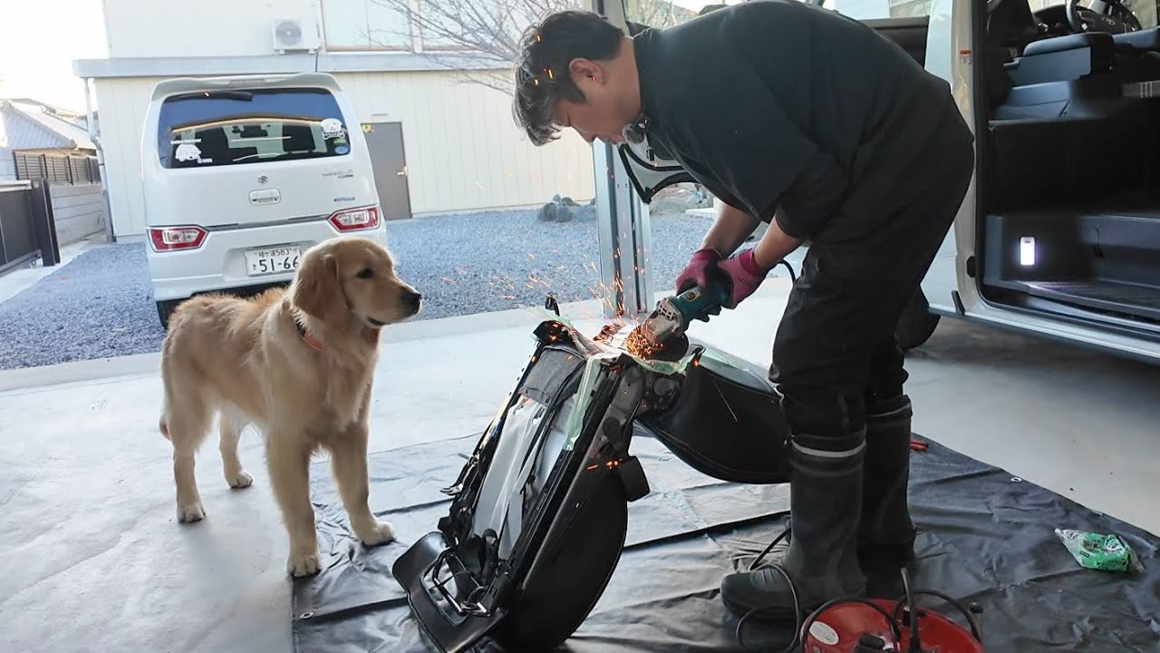 Seat [Golden Retriever Japan] - YouTube