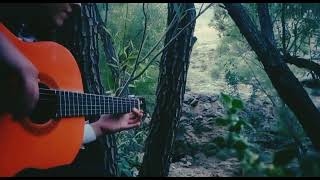 Tanhatarin Ashegh song by Fereydon Foroughi (guitar version) Resimi