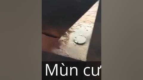 Cơ Sở sản xuất mùn cưa, củi trấu Khắc Đoàn