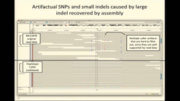 BroadE: Calling variants