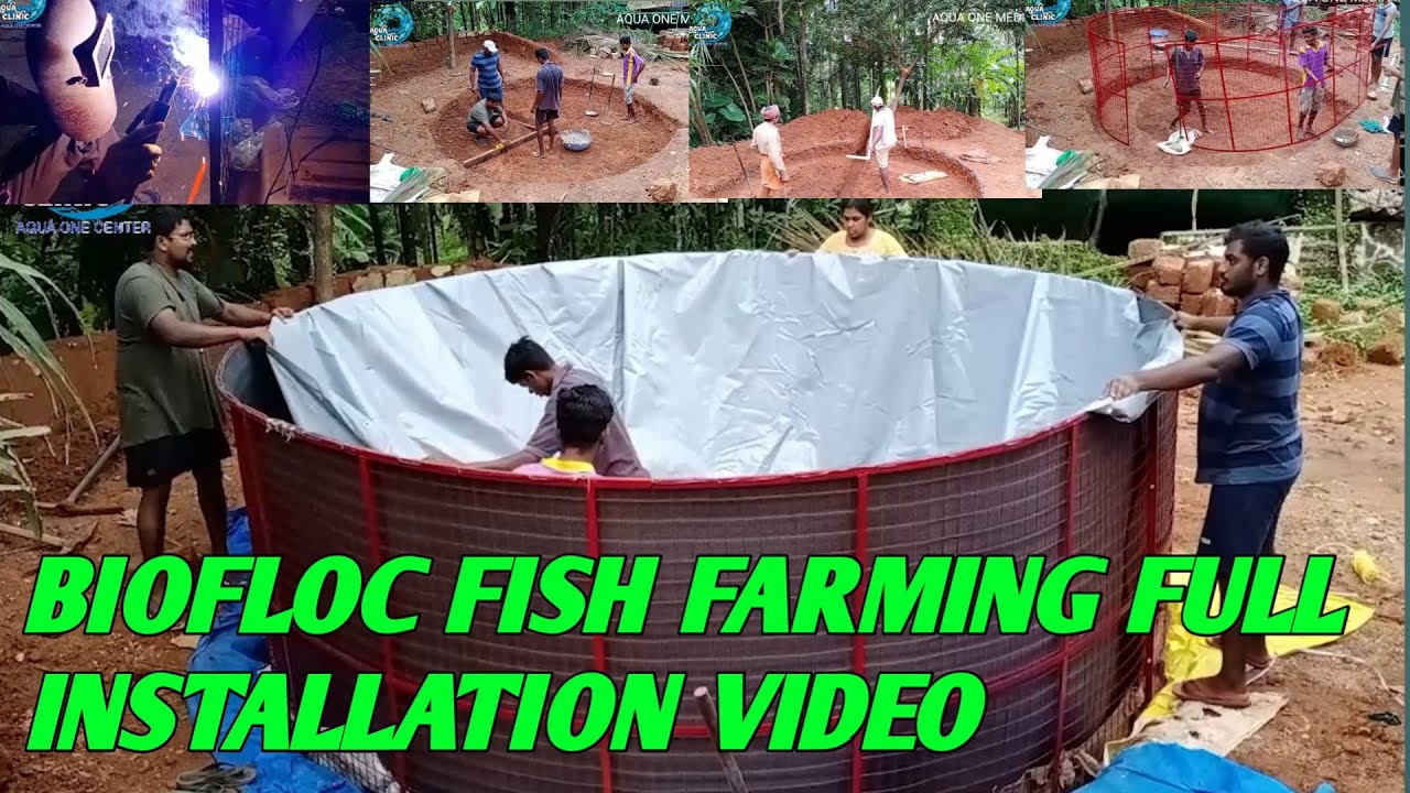 ಬಯೋಫ್ಲೋಕ್ ಮೀನು ಕೃಷಿ ಪೂರ್ಣ ಅನುಸ್ಥಾಪನ ವಿಡಿಯೋ / BIOFLOC FISH FARMING FULL INSTALLATION