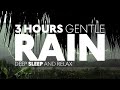 3 hours of gentle rain and thunder sounds  rain sounds to sleep relax reduce stress 