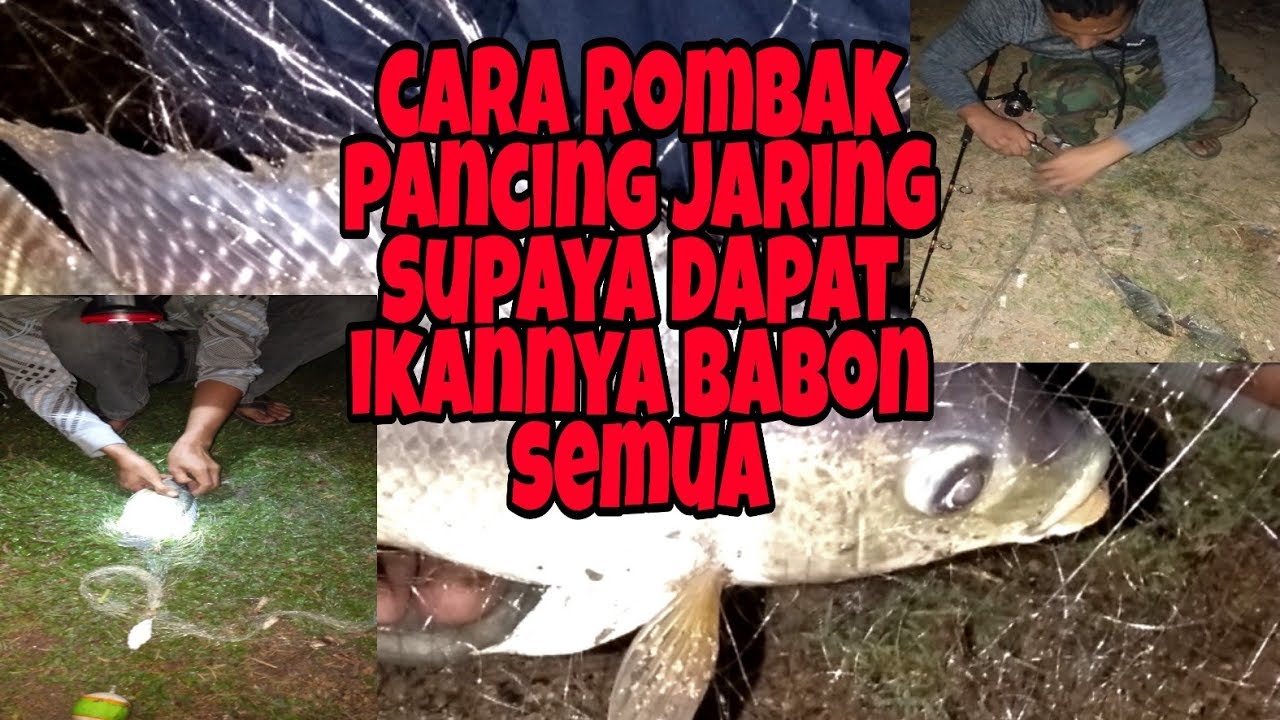 Cara merombak pancing jaring supaya bisa streak nya bertubi-tubi