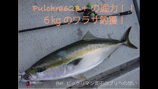 【東京湾】プルクラ62Bで6kgのワラサを釣獲！