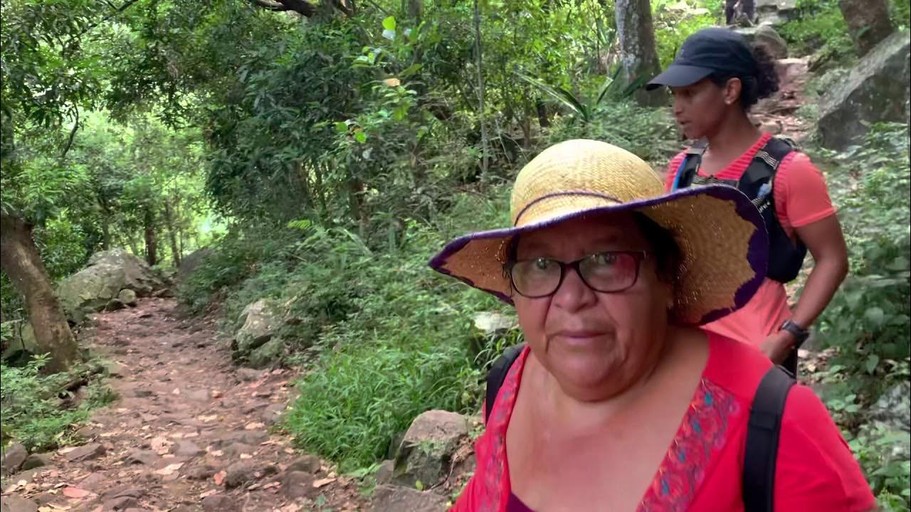 Bras de la Plaine par Bras de Pontho sentier Dassy Domin galizé YouTube