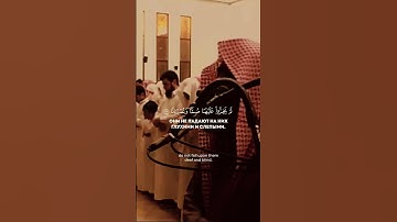 قرآن كريم، الشيخ محمد اللحيدان #حديث_صحيح #اكسبلور #قران_كريم #quranforeever #تيك_توك  #حالات_واتس