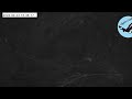 伊吹山のイヌワシ子育てライブC1 2026-04-23_07:02〜 / Remote Live Streaming of Golden Eagles in Mt. Ibuki, Japan