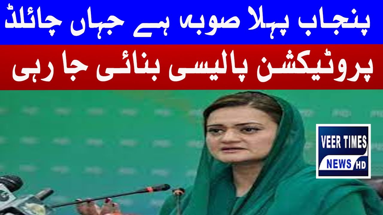 Child Protection Policy Approved By Punjab Govt | Maryam Nawaz | Breaking news || Daily veer times