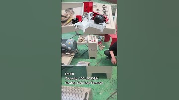 Floating Fish Feed Extruder Machine LM-60 100-150KG/H