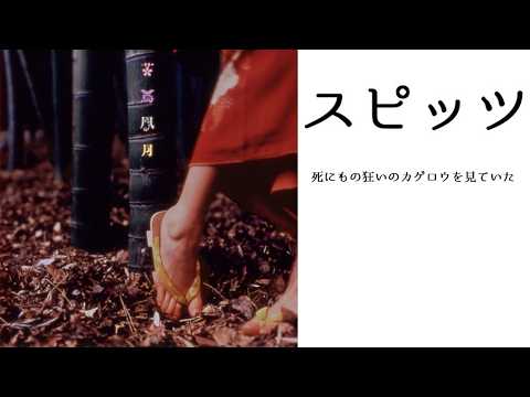 スピッツ 死にもの狂いのカゲロウを見ていた ピアノ演奏【歌詞の字幕つき】【スピッツ82】【耳コピ133】
