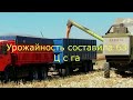 Урожайность кукурузы в 2020 сорт КСС 5290