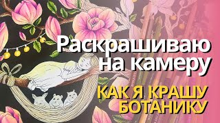 картинка: Как я раскрашиваю ботанику | Сколько брать оттенков? Что делать со светом? Процесс с комментариями🌷