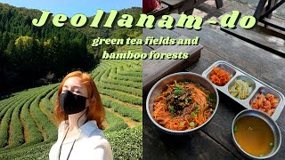 Life in Korea 🍵  Green Tea Fields and Bamboo Forests | Boseong and Damyang VLOG