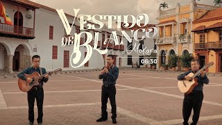 Mokara - Vestido de Blanco