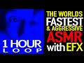 1 HOUR LOOP / WORLDS FASTEST 💨 AGGRESSIVE, UNPREDICTABLE ASMR MOUTH 👄 HAND  SOUNDS EVER!! WITH EFX