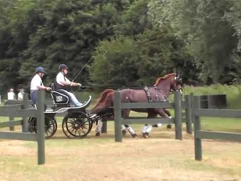 Exciting water obstacle driven by Owen Pilling, Catton horse driving trials