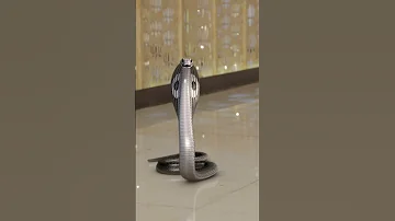 Shivanya पर Shesha क व र व फल Naagin न ग न 