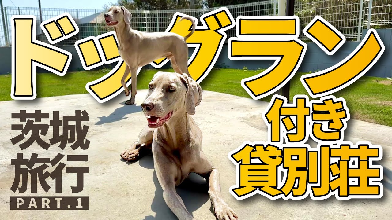 茨城は犬連れで旅行するのに最高な場所だった！PART1