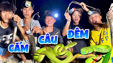 Anh Ba Phai | Thử Thách Cắm Câu Đêm Cùng Anh Phú 🐠🐠🐠 | fish hunting