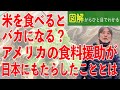 【米食からパン食へ】米を食べるとバカになる？アメリカの食料援助が日本にもたらしたこととは【人と食の大問題⑥】