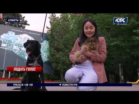 Видео: Разрешены ли собаки в государственном парке Касл-Крэгс?