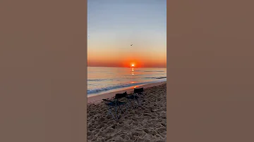 عمري منشبع منك يا دلالي 