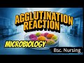 AGGLUTINATION REACTION || MICROBIOLOGY || B.Sc. Nursing || Exam special