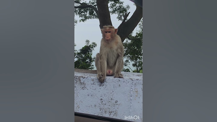 #நீங்களாவது ஒரு பொண்ணு பாத்து சொல்லுங்க