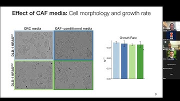 Computational modeling of the tumor ecosystem