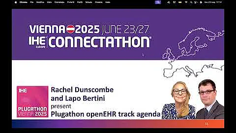 Introducing the Plugathon for openEHR