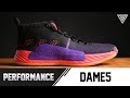 DAME5 Performance Review