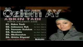 Özlem Ay - Gittin Diyemi