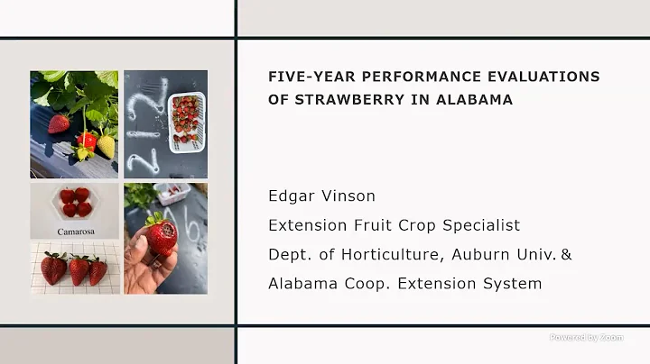 2022 Fruit School - Five Year Performance Evaluations of Strawberries in Alabama